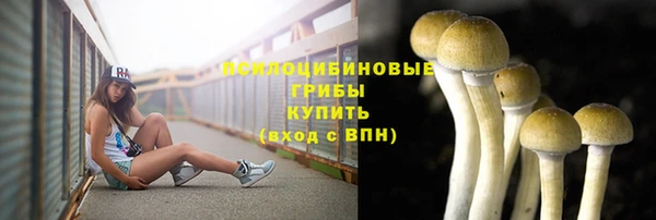 мдма Бородино