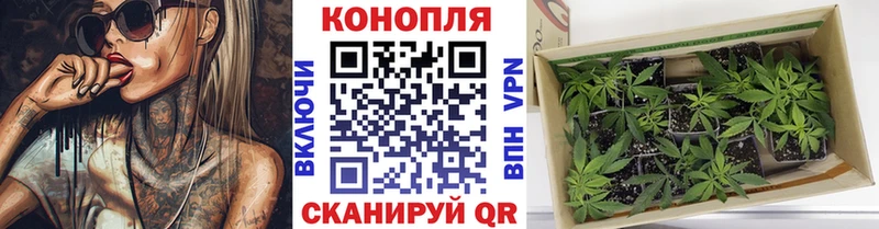 Купить  Могоча  Бошки Шишки гибрид 